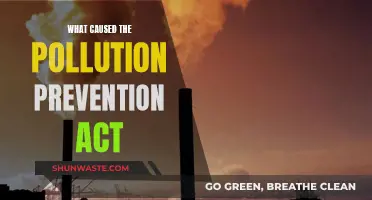 The Pollution Prevention Act: A Legacy of Environmental Awareness