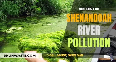 Unveiling the Sources: Shenandoah River's Pollution Mystery