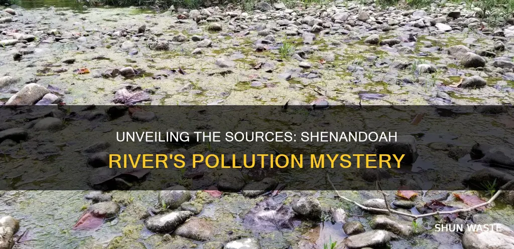 what caused the shenandoah river pollution