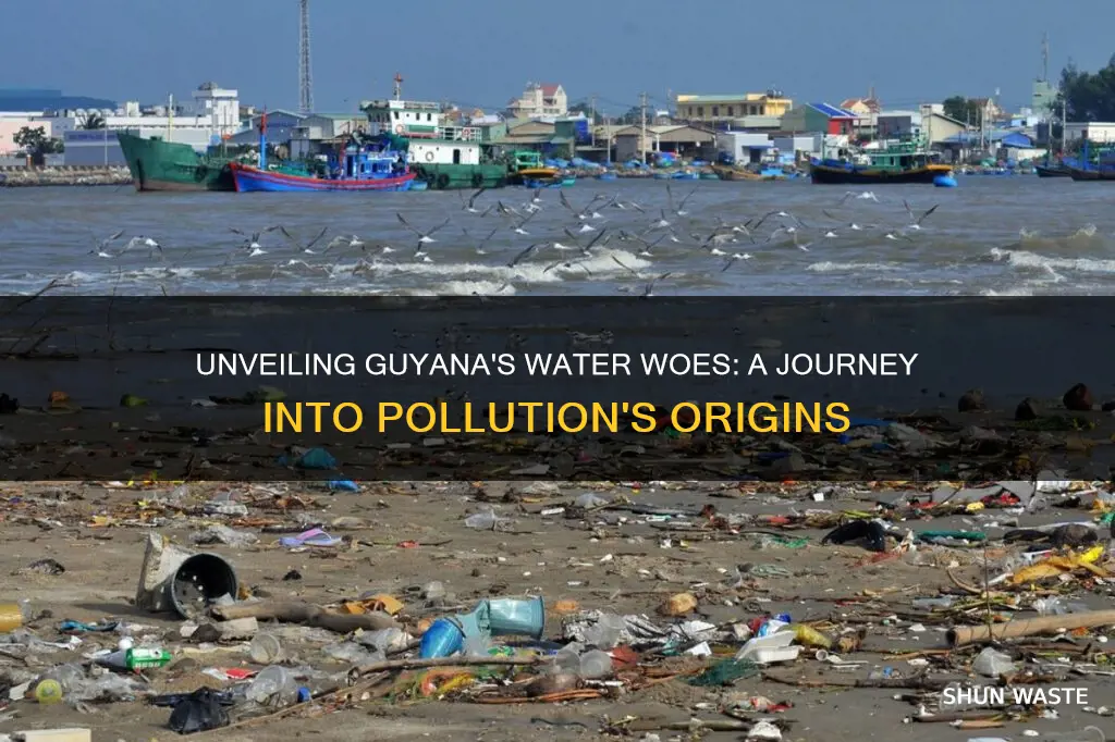 what caused water pollution in guyana