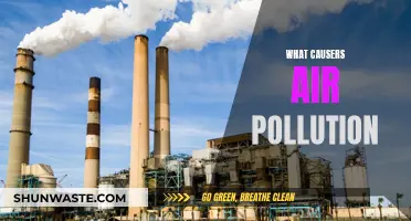 Air Pollution: Understanding the Main Causes
