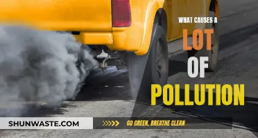 Unveiling the Hidden Sources of Pollution: A Comprehensive Guide