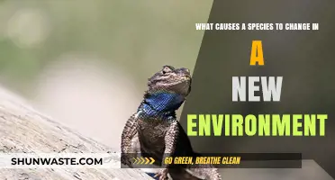 Environmental Shifts: Unraveling the Triggers of Species Adaptation and Evolution