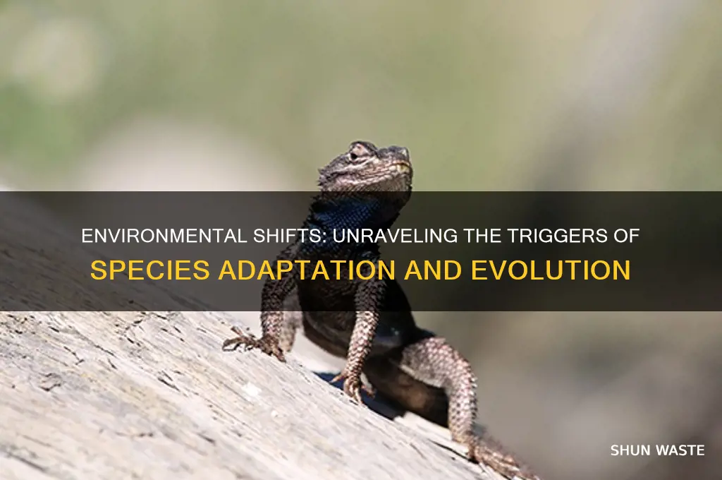 what causes a species to change in a new environment