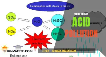 Unveiling the Hidden Causes of Acid Pollution