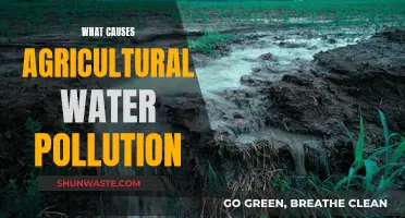 Unveiling the Sources: Agricultural Water Pollution Explained