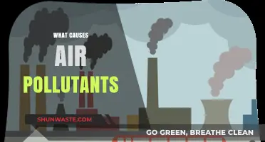 Unveiling the Sources: Understanding Air Pollutants and Their Origins