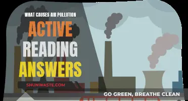 Unveiling the Sources: Active Reading on Air Pollution Causes