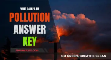 Unveiling the Sources: Understanding Air Pollution's Complex Causes