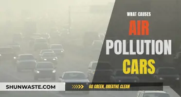 Unveiling the Hidden Culprits: Why Cars are Major Air Pollutants