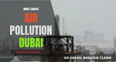 Unveiling Dubai's Air Pollution: Sources and Solutions