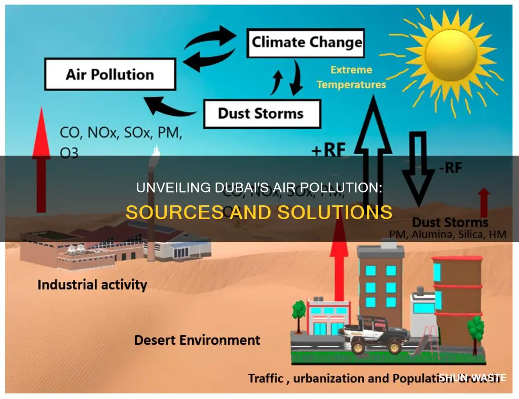 what causes air pollution dubai