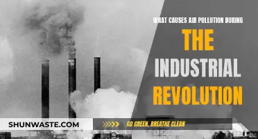 Industrial Revolution's Legacy: Unveiling Air Pollution's Historical Origins