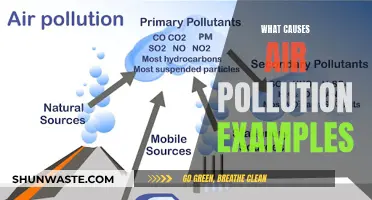 Unveiling the Sources: Understanding Air Pollution's Causes and Examples