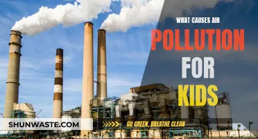 Air Pollution: What's Harming Our Planet and Health?