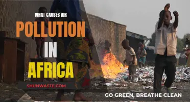 Air Pollution in Africa: Understanding the Root Causes