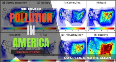 Unveiling America's Air Pollution: Sources and Solutions