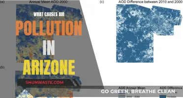 Unveiling Arizona's Air Pollution: Sources and Solutions