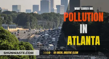 Unveiling Atlanta's Air Pollution: Sources and Solutions