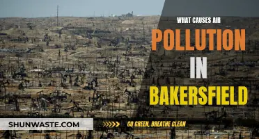 Unveiling Bakersfield's Air Pollution: Sources and Solutions