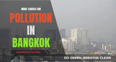 Unveiling Bangkok's Air Pollution Mystery: Sources and Solutions