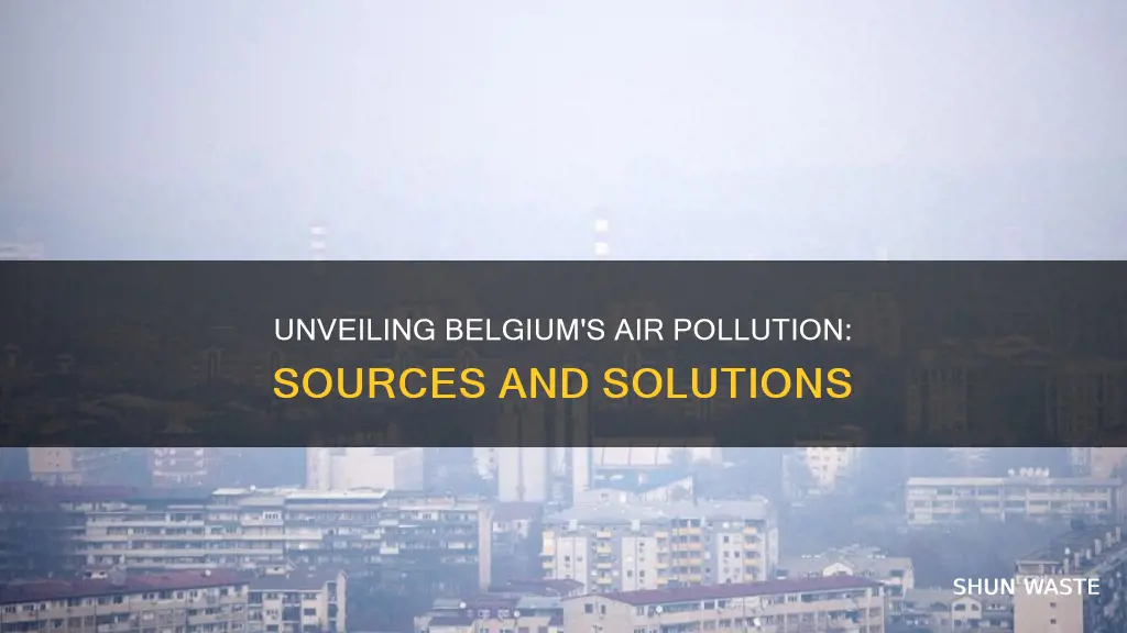 what causes air pollution in belgium