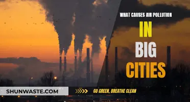Air Pollution in Cities: What's the Main Culprit?