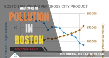 Unveiling Boston's Air Pollution: Sources and Solutions