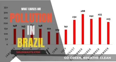 Unveiling Brazil's Air Pollution: Sources and Solutions