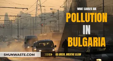 Unveiling Bulgaria's Air Pollution: Sources and Solutions