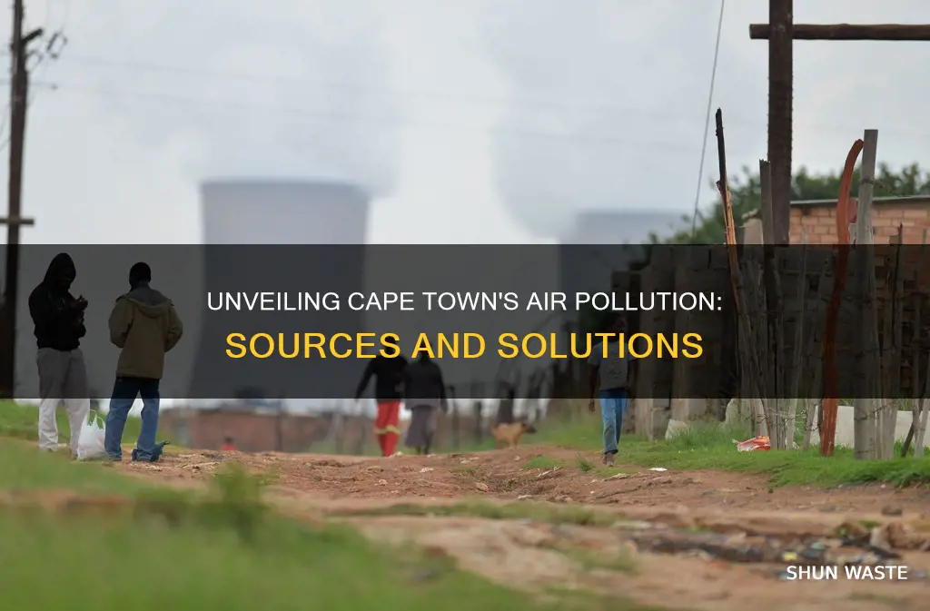 what causes air pollution in cape town