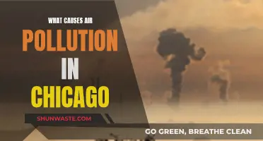 Unveiling Chicago's Air Pollution: Sources and Solutions