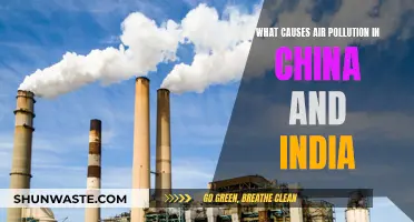 Air Pollution Crisis: China and India's Battle
