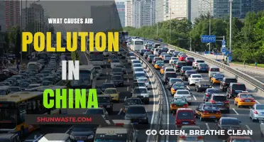 Unveiling China's Air Pollution: Sources and Solutions