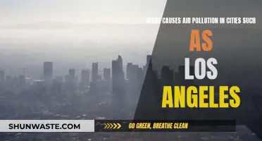 Unveiling LA's Air Pollution: Sources and Solutions