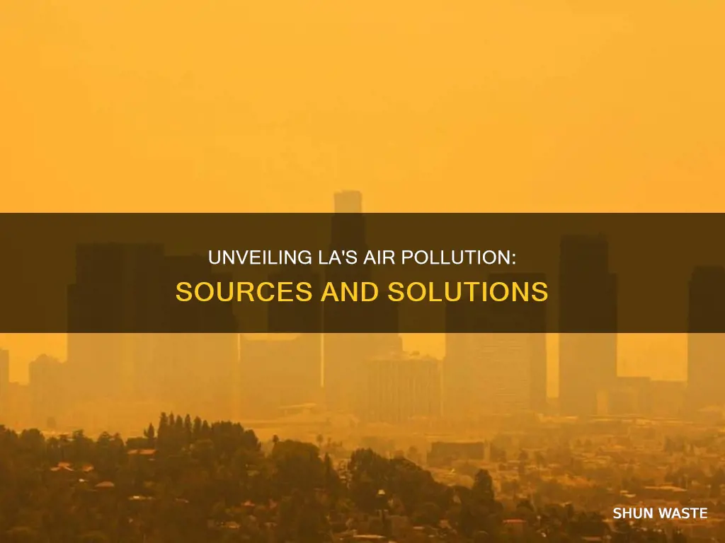 what causes air pollution in cities such as los angeles