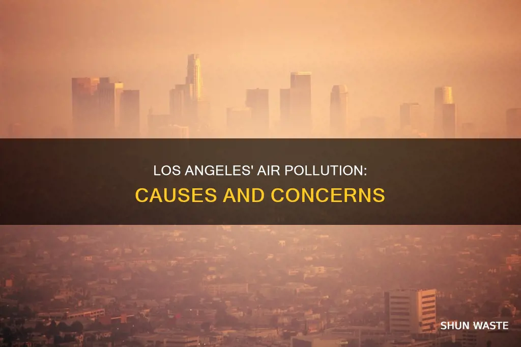 what causes air pollution in cities such as los angeles