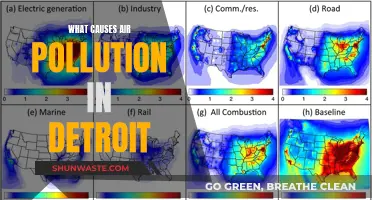 Unveiling Detroit's Air Pollution: Sources and Solutions