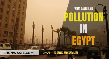 Unveiling Egypt's Air Pollution: Sources and Solutions