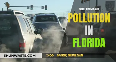 Unveiling Florida's Air Pollution: Sources and Solutions