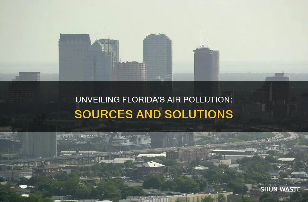 what causes air pollution in florida