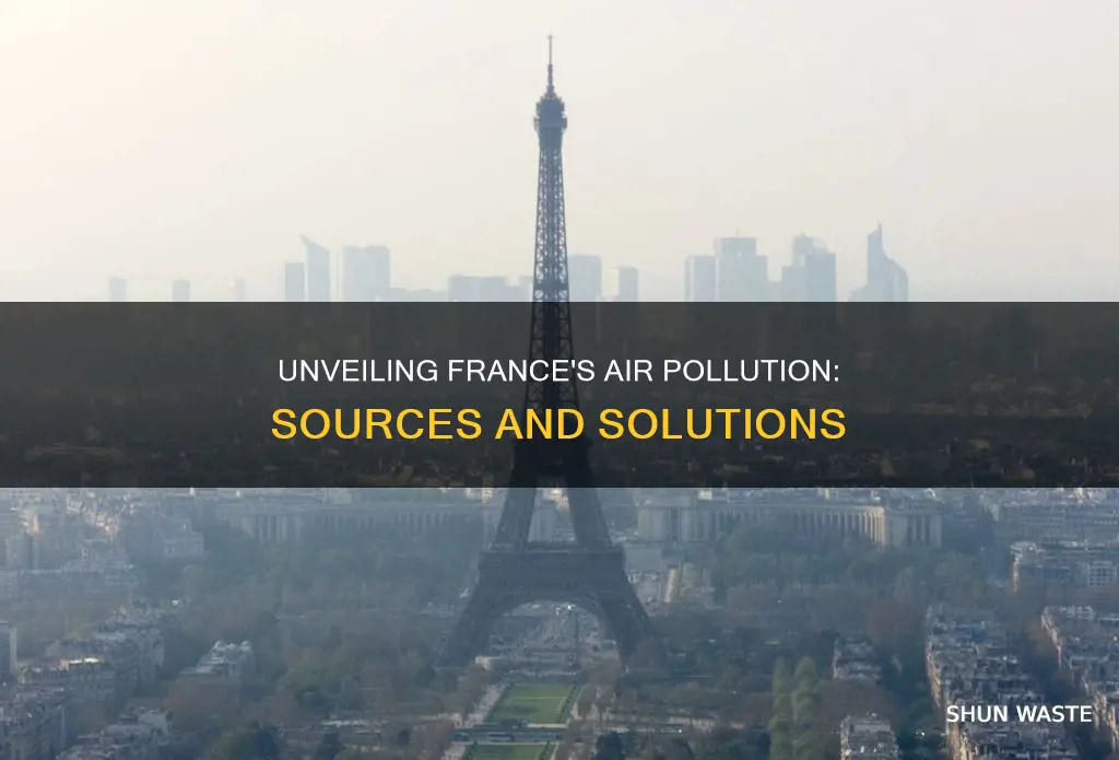 what causes air pollution in france