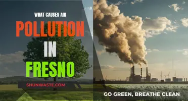 Unveiling Fresno's Air Pollution: Sources and Solutions