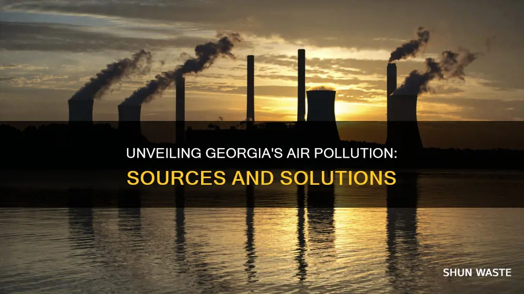 what causes air pollution in georgia