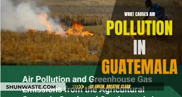 Unveiling Guatemala's Air Pollution: Sources and Solutions