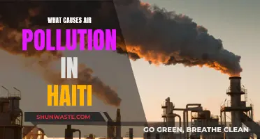 Unveiling Haiti's Air Pollution: Sources and Solutions Revealed