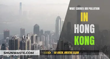 Hong Kong's Air Pollution: Understanding the Main Causes