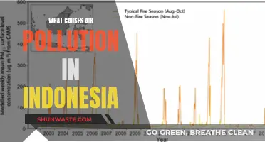 Unveiling Indonesia's Air Pollution: Sources and Solutions