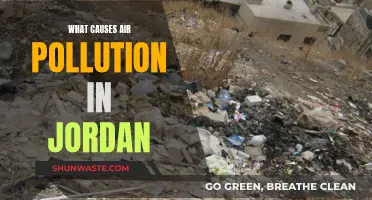 Jordan's Air Quality Crisis: Unveiling the Sources of Pollution