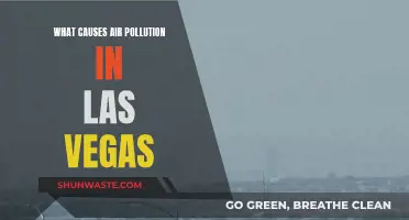 Unveiling Las Vegas' Air Pollution: Sources and Solutions